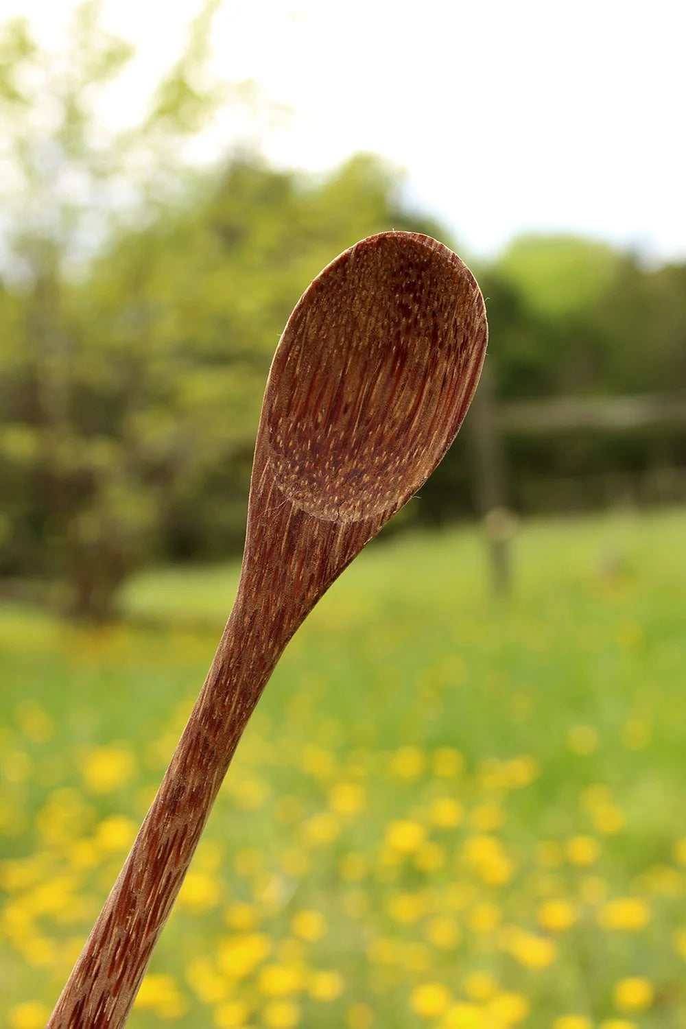 Coconut Spoon