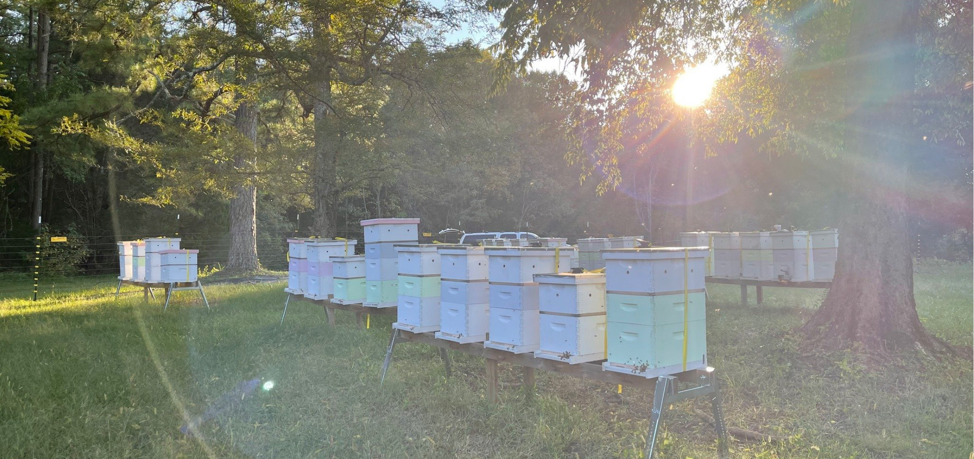 Meet Our Beekeepers