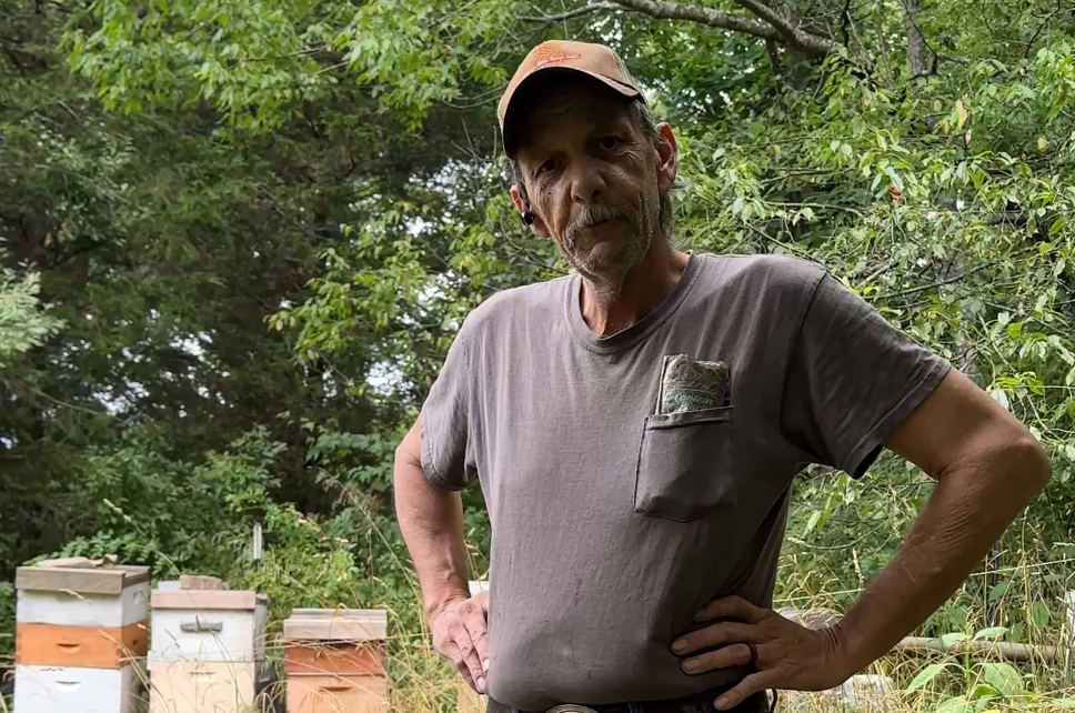 Peter Hicks, Springcity Bee Farm