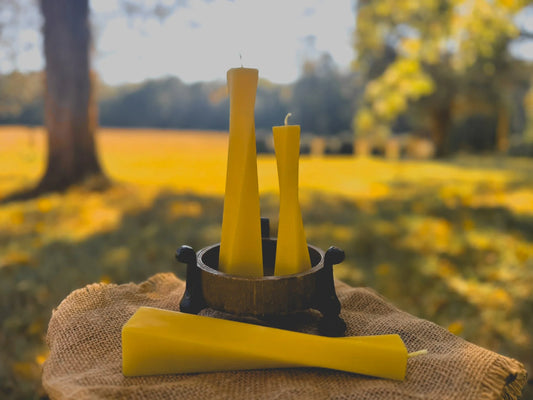 Edgewood Apiaries Twisty Candle Set in front of a Virginia forest landscape