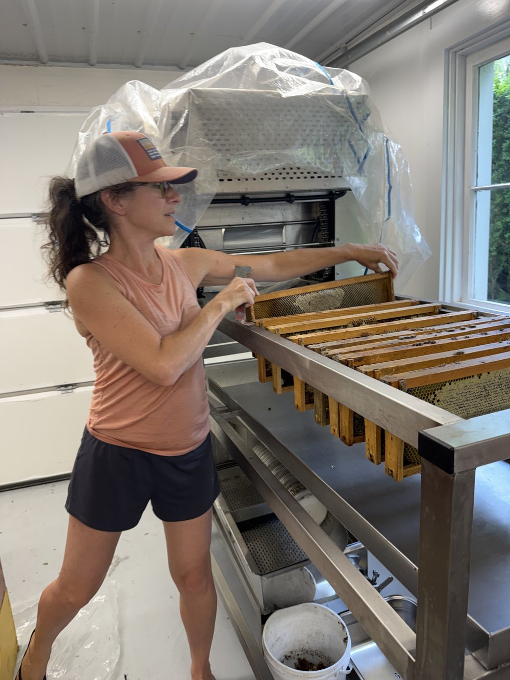 Amanda loading honey frames onto the extraction line, 2026