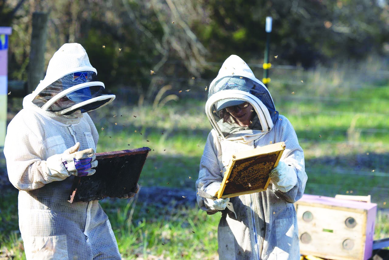 Amanda Sweeney and a fellow beekeeper inspecting honeycomb frames. Photograph by Jon Golden for the Fluvanna Review.