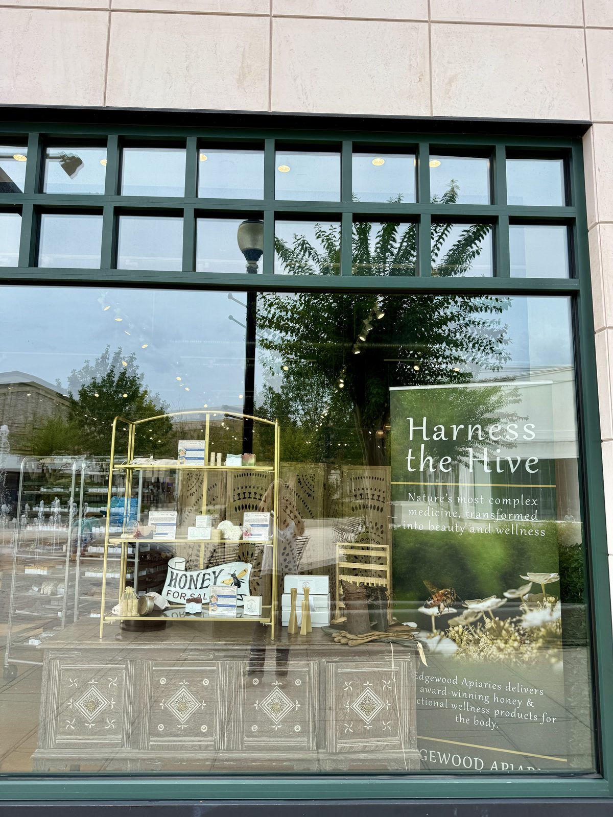 Honey for sale in the Stony Point window. Gold shelf of Edgewood jars, beeswax candles, and Harness the Hive banner.